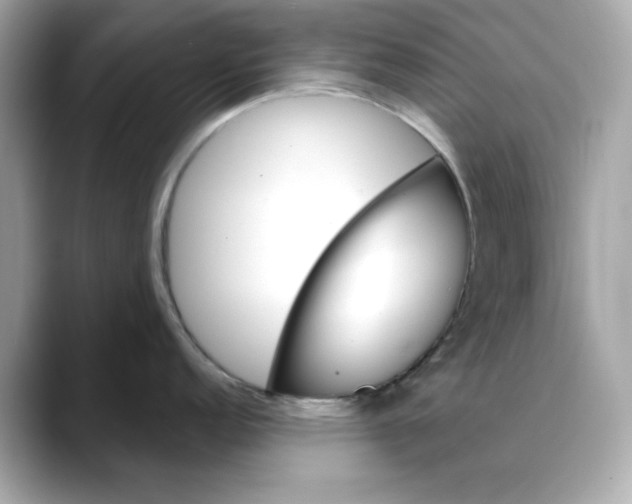 X0000088431152200706051225