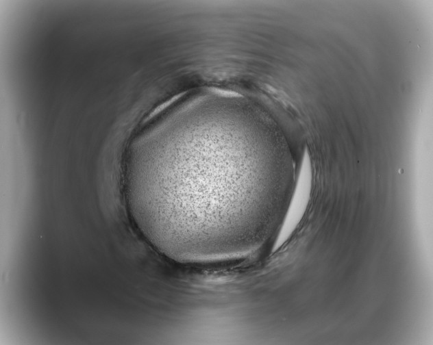 X0000088431153200706051225