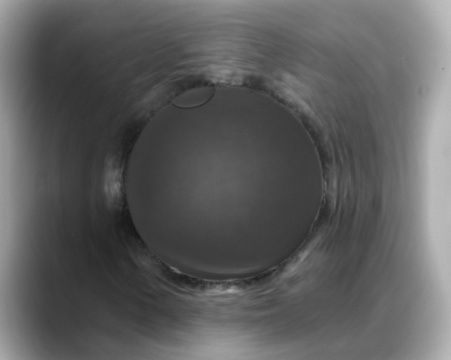 X0000088431154200706051225