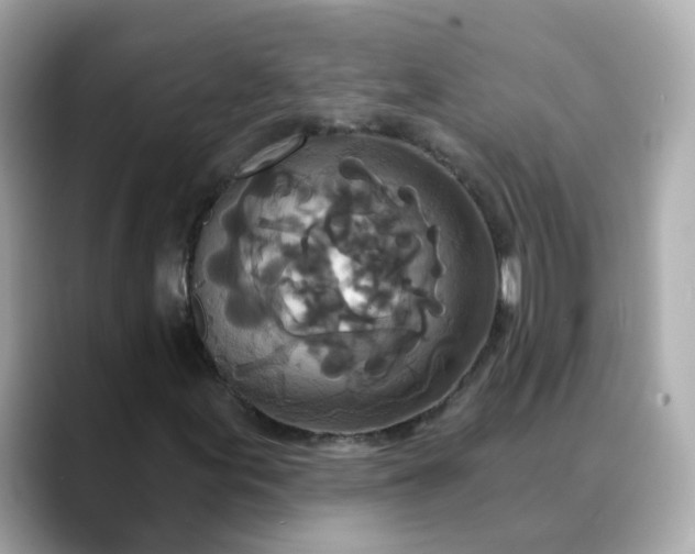 X0000088431155200706051225