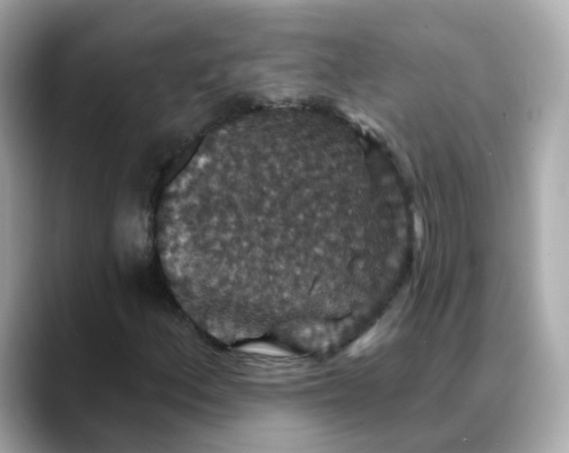 X0000088431156200706051225