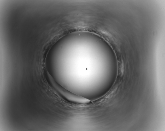 X0000088431157200706051225