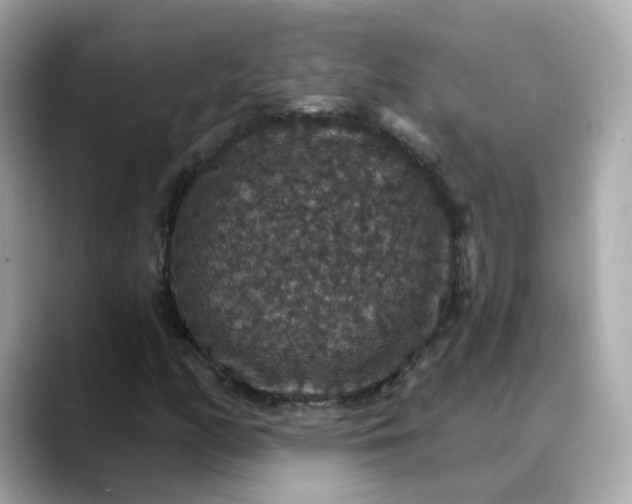 X0000088431158200706051225