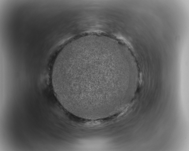 X0000088431159200706051225