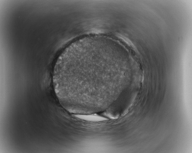 X0000088431160200706051225