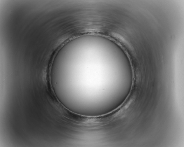 X0000088431162200706051225