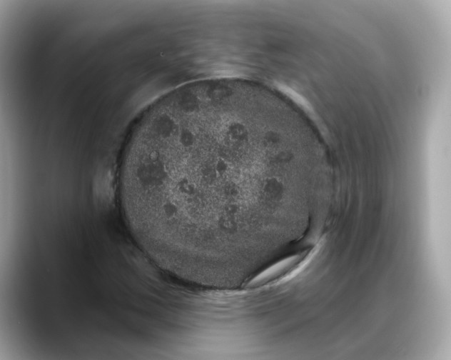 X0000088431163200706051225