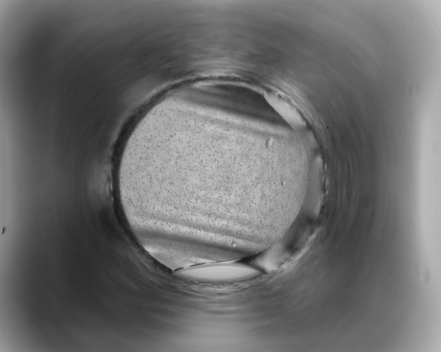 X0000088431164200706051225