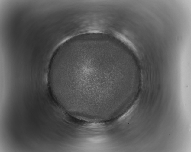 X0000088431166200706051225