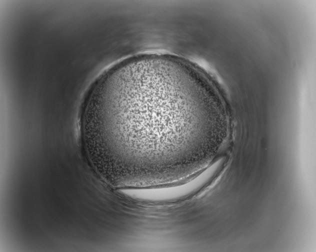 X0000088431167200706051225