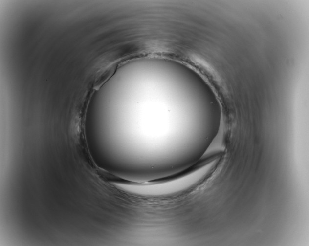 X0000088431169200706051225