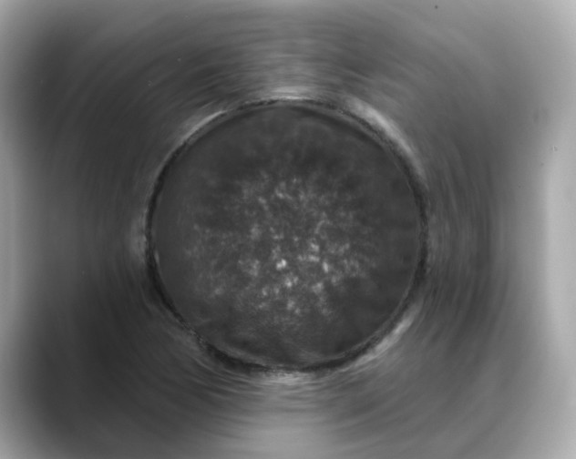 X0000088431170200706051225