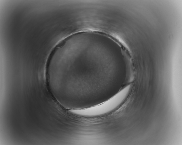 X0000088431173200706051225