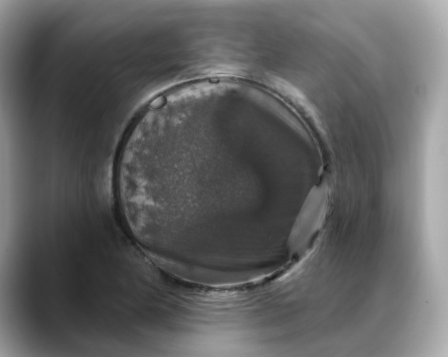 X0000088431174200706051225