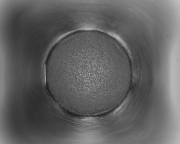 X0000088431175200706051225