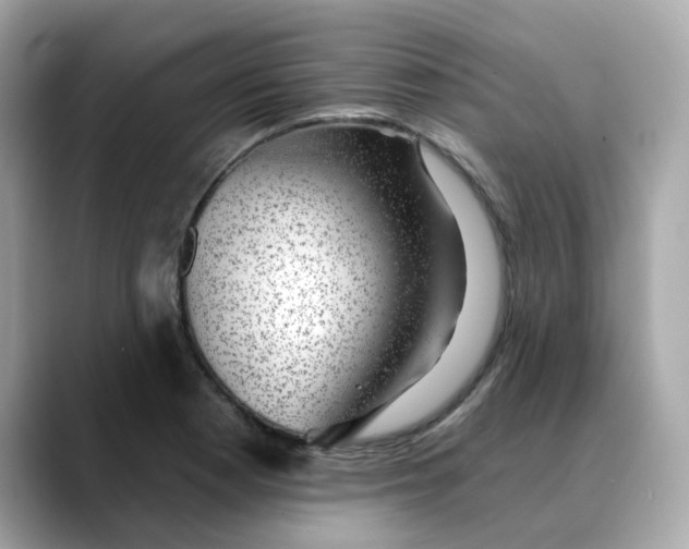 X0000088431177200706051225