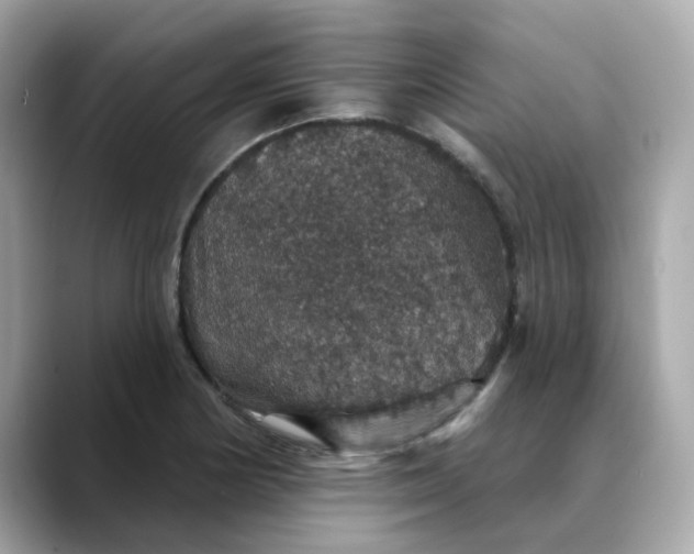 X0000088431178200706051225