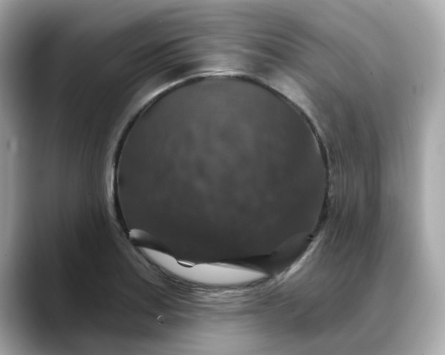 X0000088431179200706051224