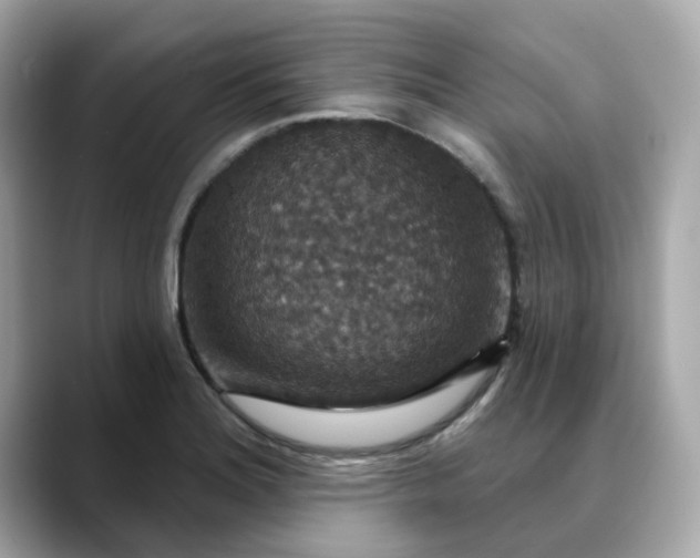 X0000088431180200706051224