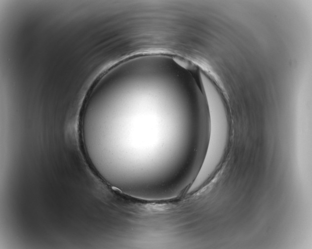 X0000088431181200706051224