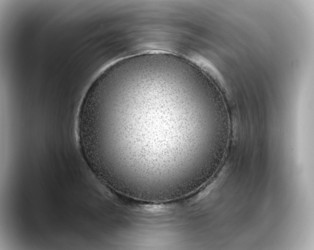 X0000088431182200706051224