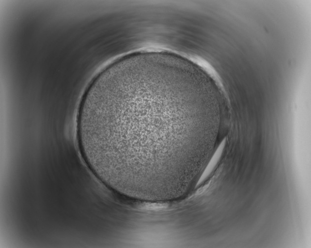 X0000088431183200706051224