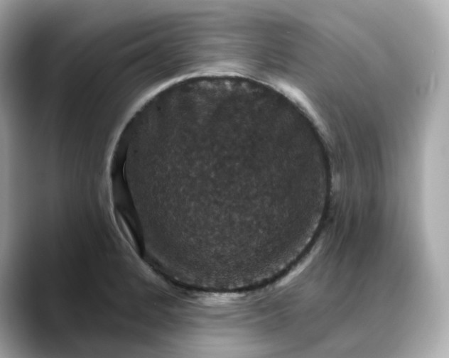 X0000088431184200706051224