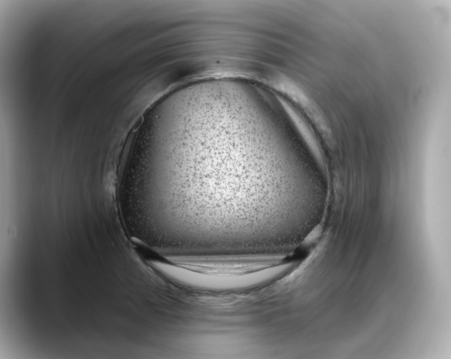 X0000088431185200706051224