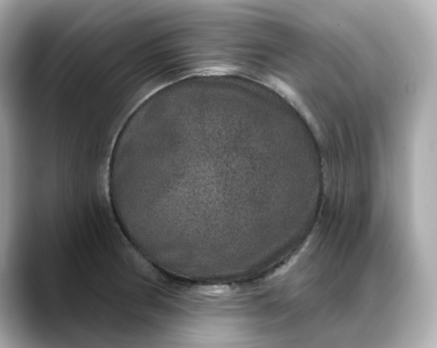 X0000088431186200706051224