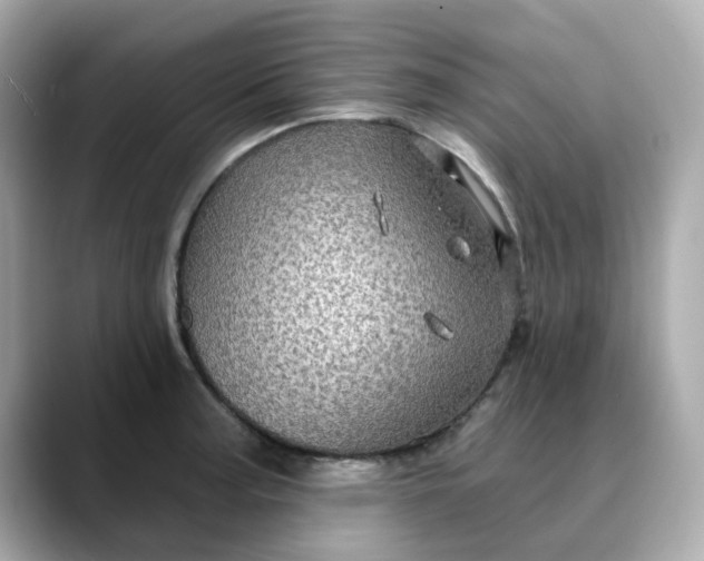 X0000088431187200706051224