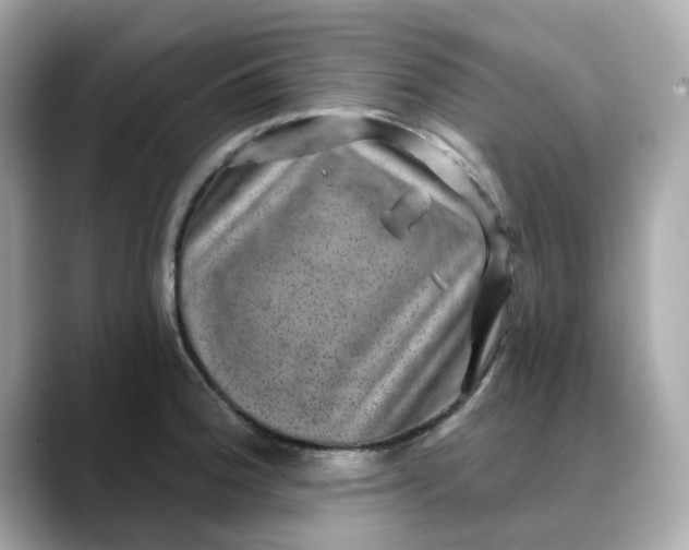 X0000088431188200706051224