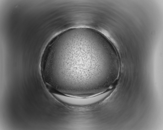 X0000088431189200706051224