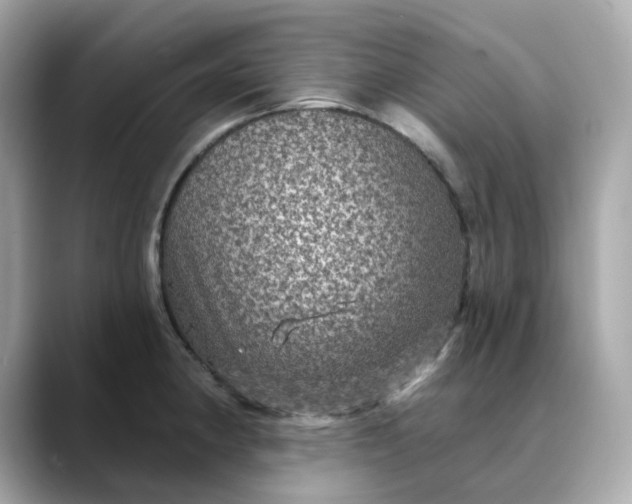 X0000088431190200706051224