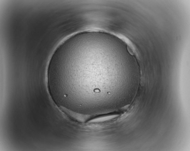 X0000088431191200706051224