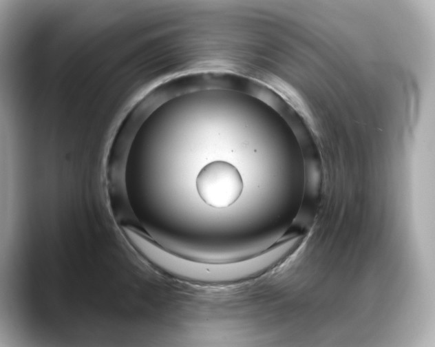 X0000088431192200706051224