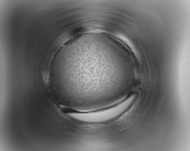 X0000088431193200706051224