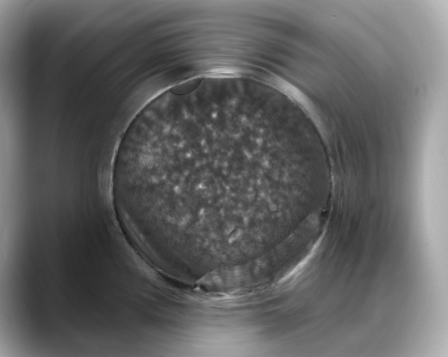 X0000088431194200706051224