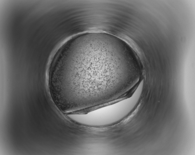 X0000088431196200706051224