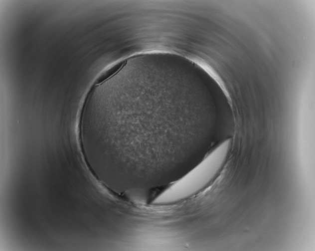 X0000088431197200706051224