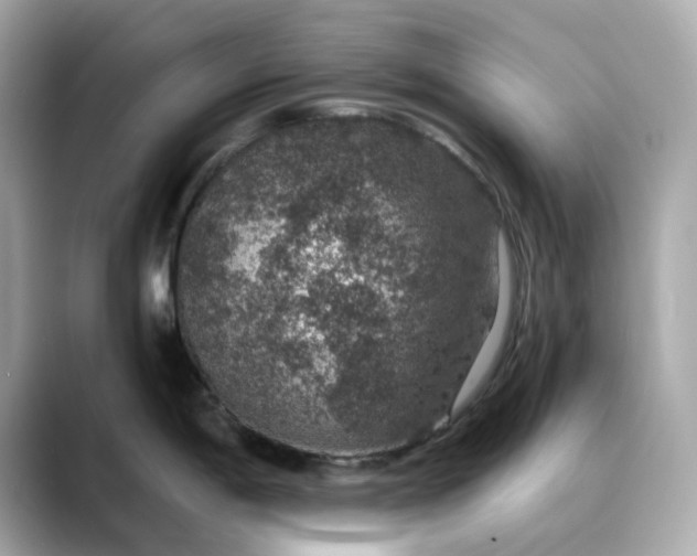 X0000088431198200706051224