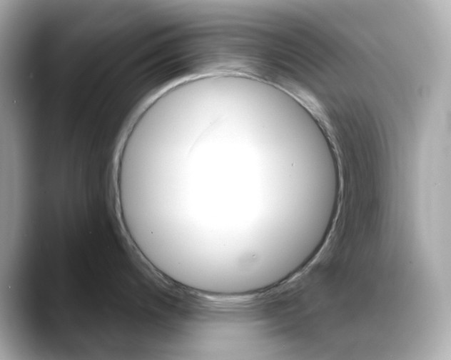 X0000088431200200706051224