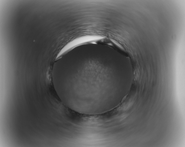 X0000088431202200706051224