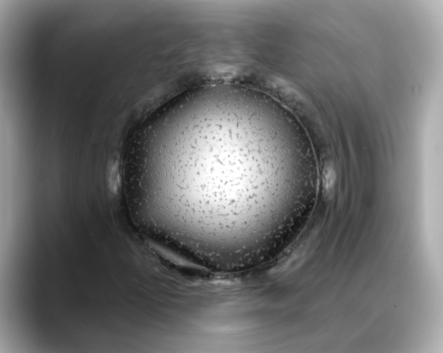 X0000088431204200706051224