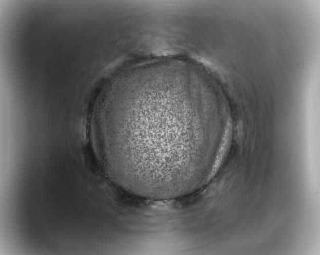 X0000088431205200706051224