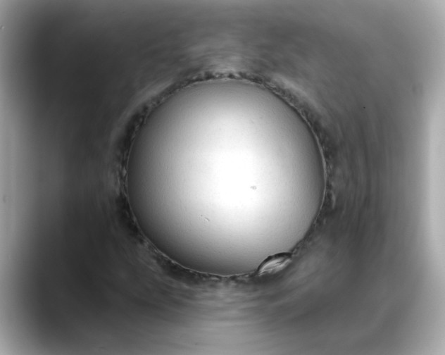 X0000088431207200706051224