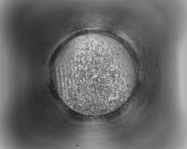 X0000088431208200706051224