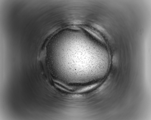 X0000088431209200706051224