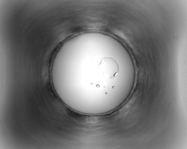 X0000088431211200706051224