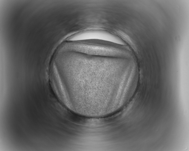 X0000088431212200706051224