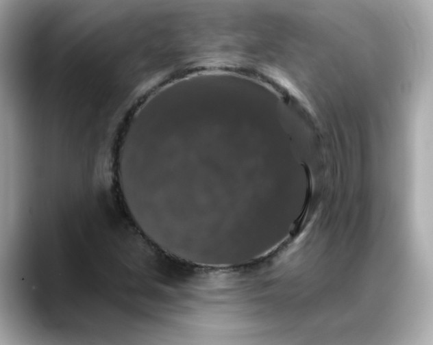 X0000088431213200706051224